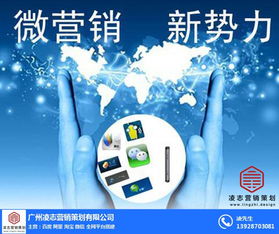 凌志營銷策劃 構(gòu)建白云區(qū)網(wǎng)絡(luò)推廣與信息安全一體化的解決方案